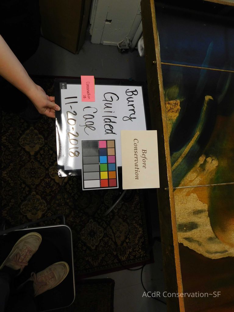 The Gilded Cage  - Image 7