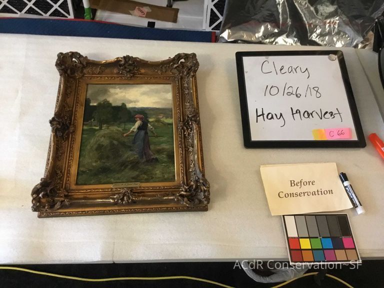          Hay harvest picture number 1
