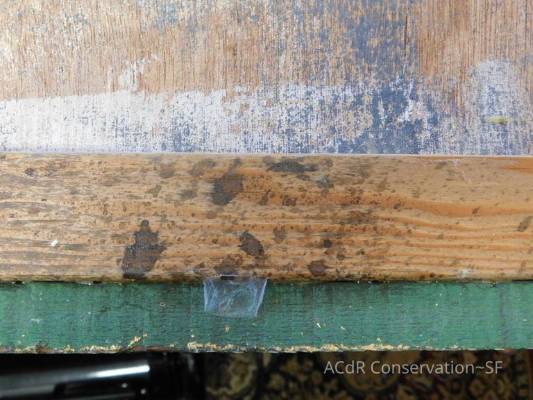 The Gilded Cage  - Image 14