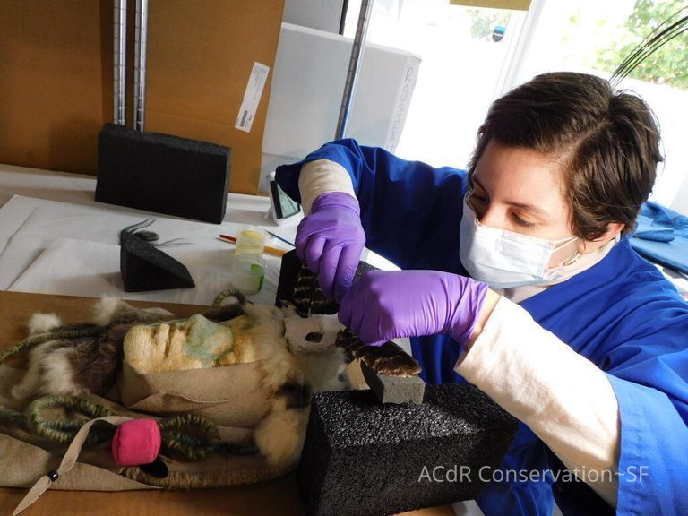          Carolina picture number 1
