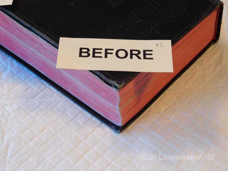 Daily Missal - Image 82