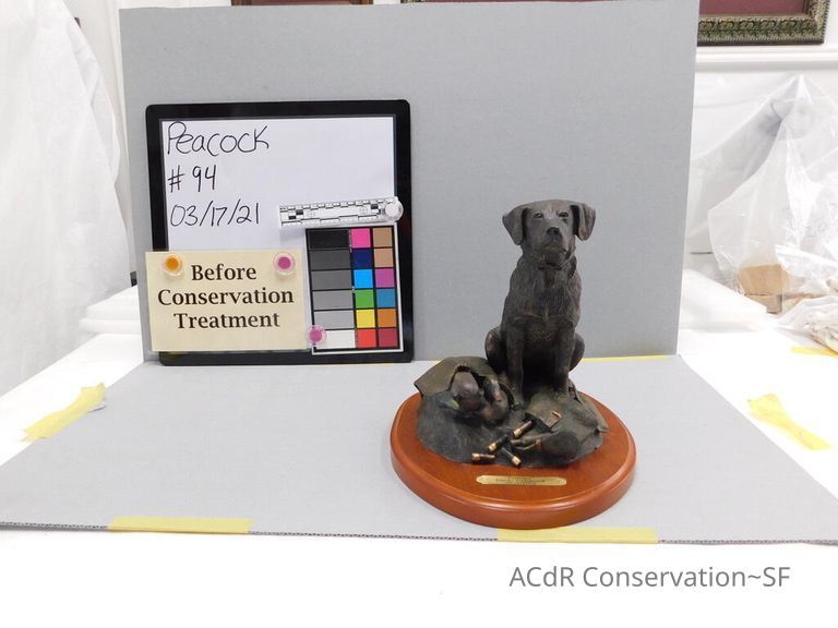          Dog picture number 1
