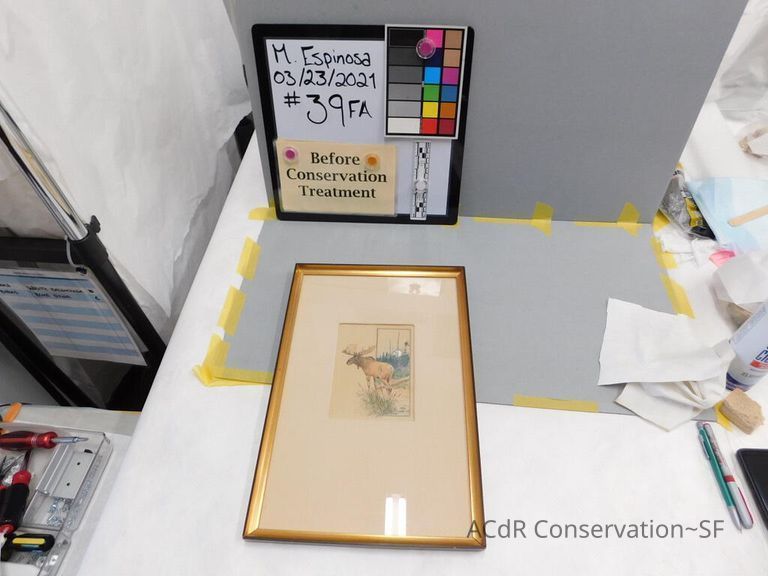          Peacock - NOT Espinosa
