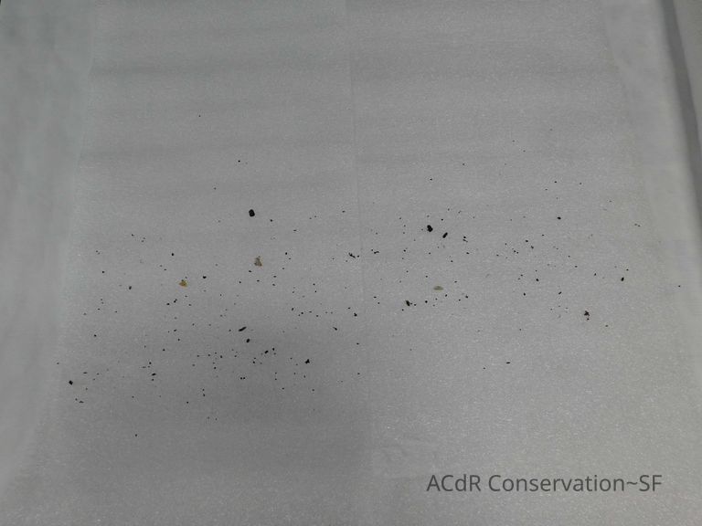 Mexican Beaded Skull - Image 6