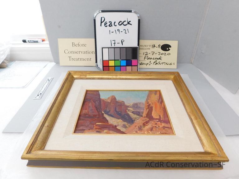          Canyon scene picture number 1
