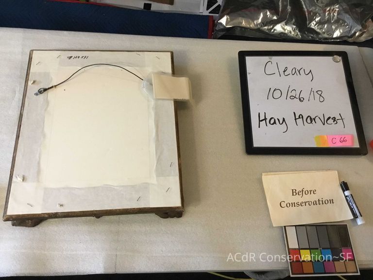 Hay harvest - Image 2