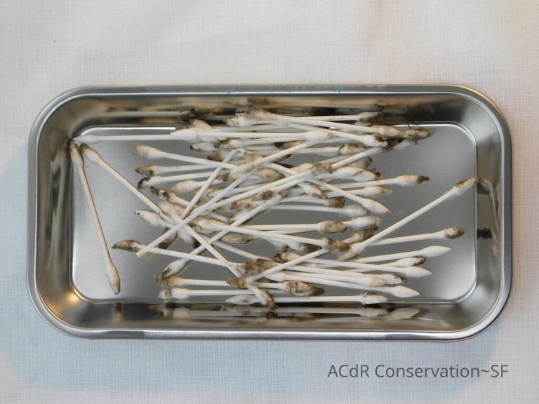 Large Round Chinese woodcarving - Image 28