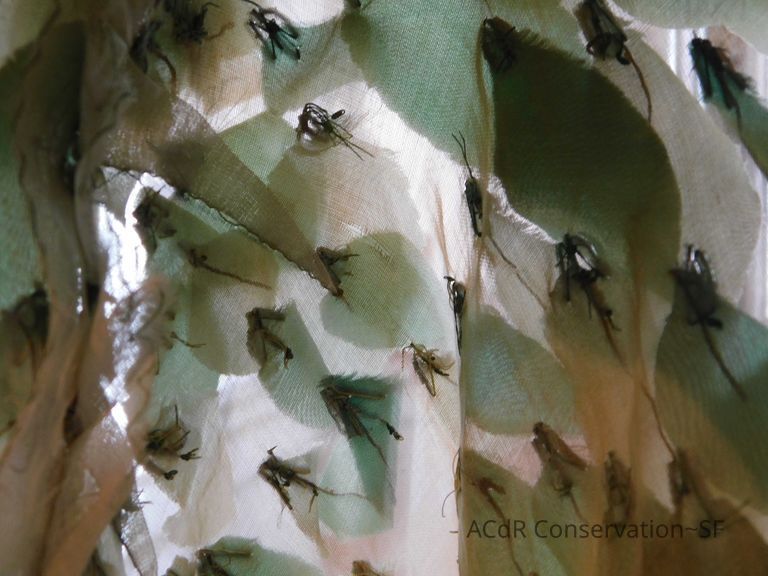 Leaf Capelet - Image 75