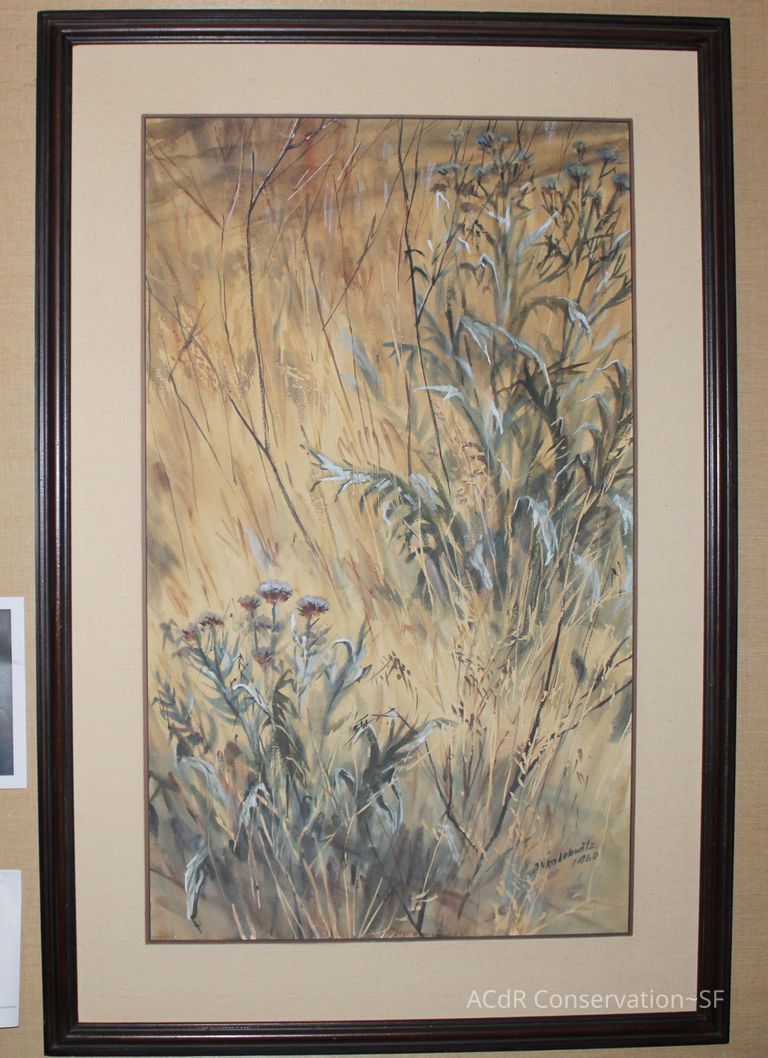          #7 - Grass and Thistles picture number 1
