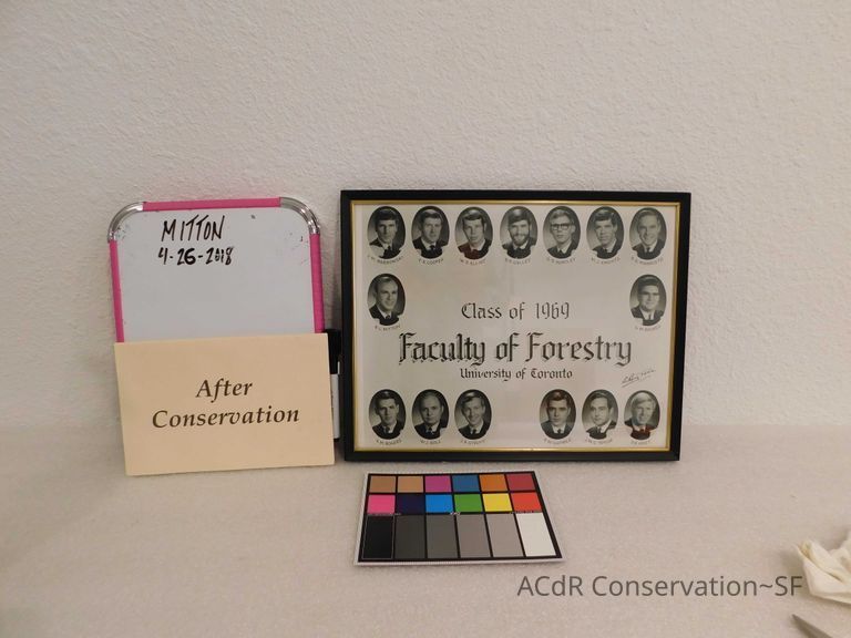 Faculty of Forestry, class portraits  - Image 3