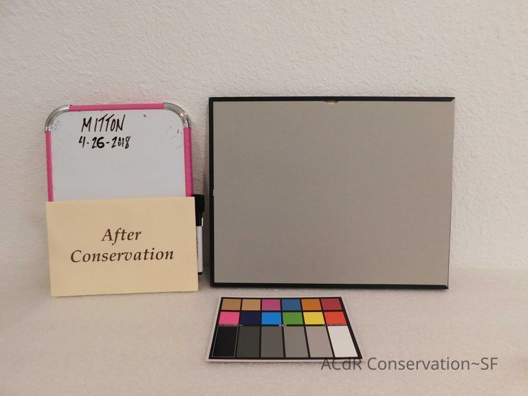 Faculty of Forestry, class portraits  - Image 4