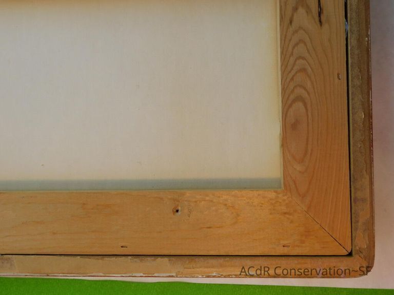 #11 - Butterflies - Image 20