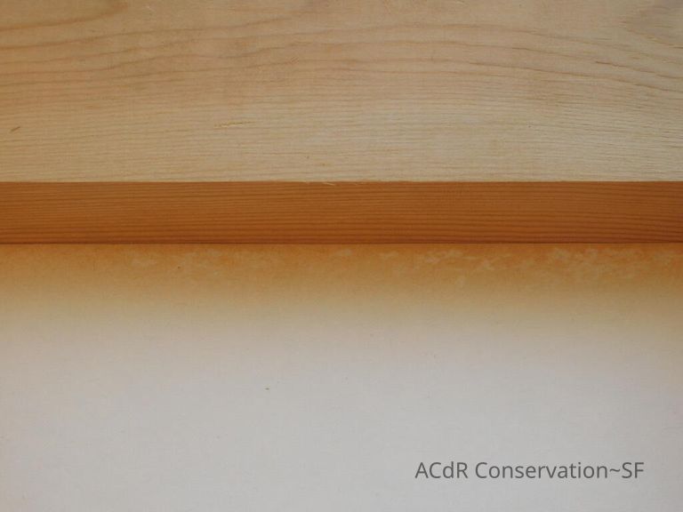 #11 - Butterflies - Image 22