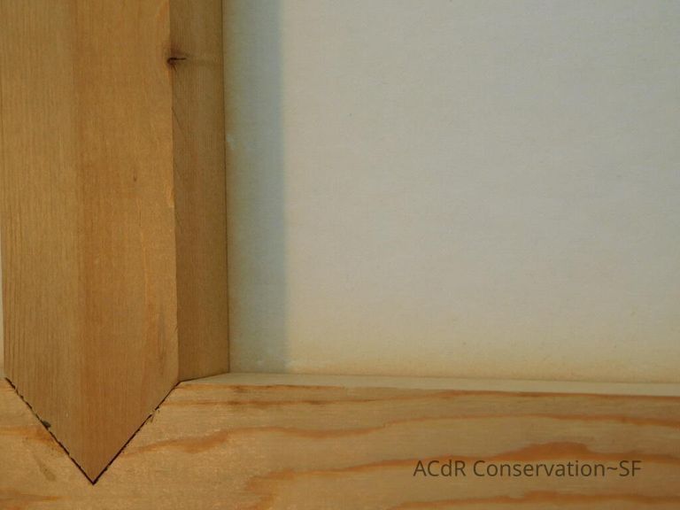 #11 - Butterflies - Image 23