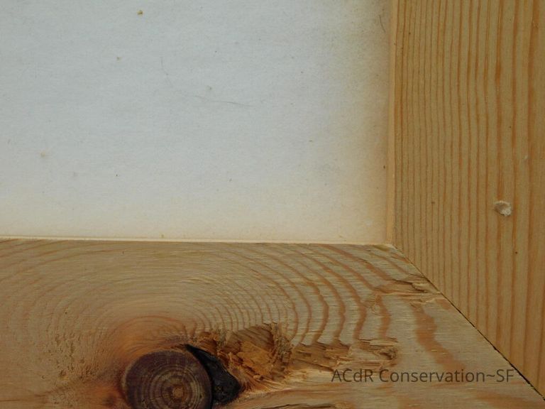 #11 - Butterflies - Image 24