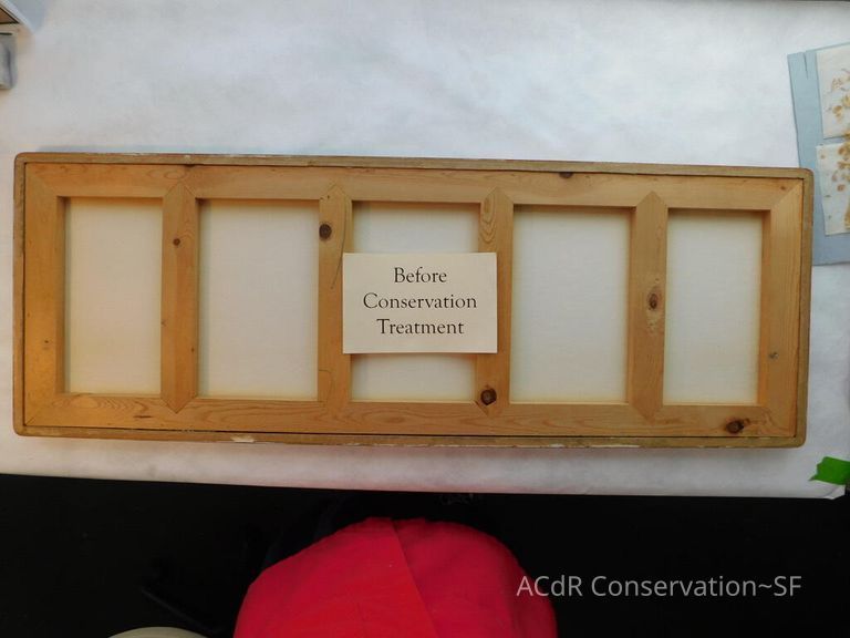 #11 - Butterflies - Image 25