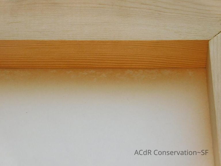 #11 - Butterflies - Image 26