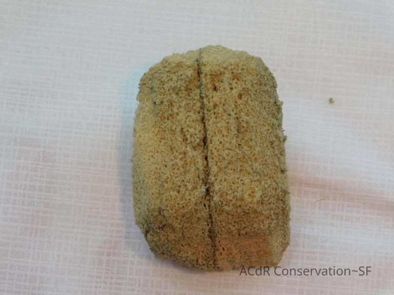 #11 - Butterflies - Image 27