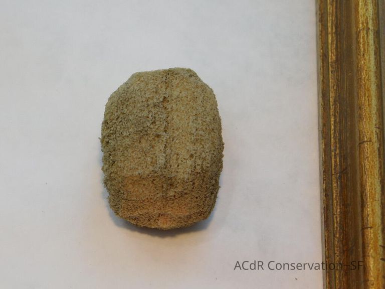 #11 - Butterflies - Image 28