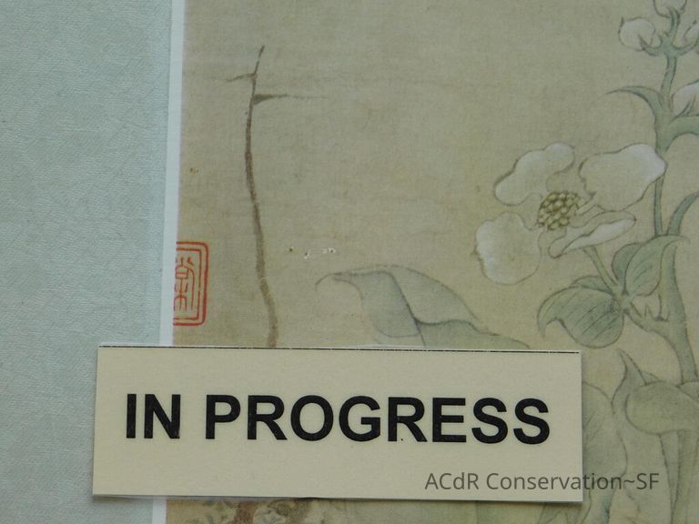 #11 - Butterflies - Image 34