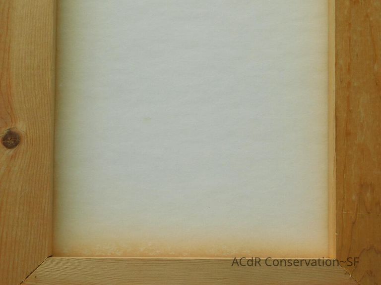 #11 - Butterflies - Image 36