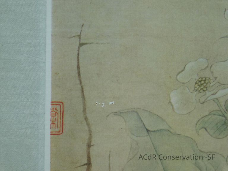 #11 - Butterflies - Image 37