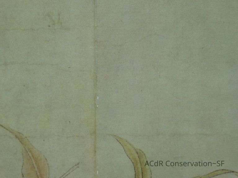 #11 - Butterflies - Image 38