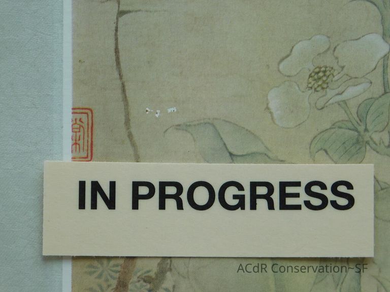 #11 - Butterflies - Image 39