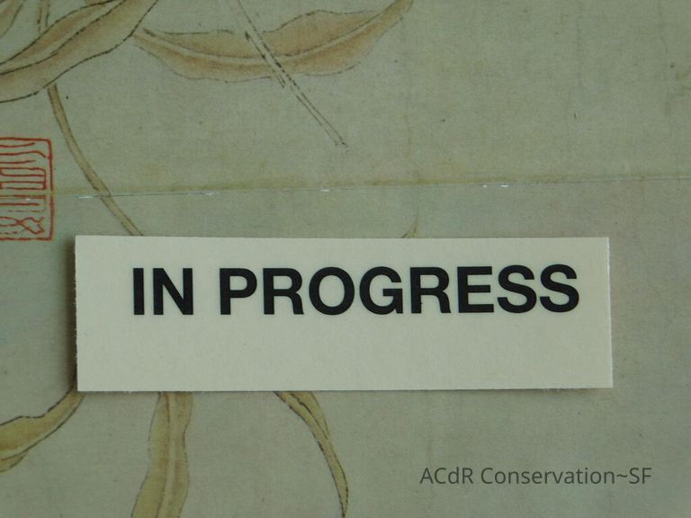 #11 - Butterflies - Image 40