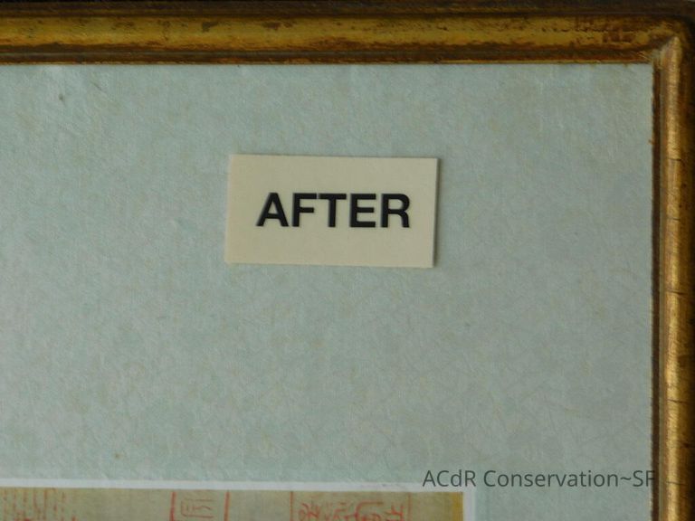 #11 - Butterflies - Image 41