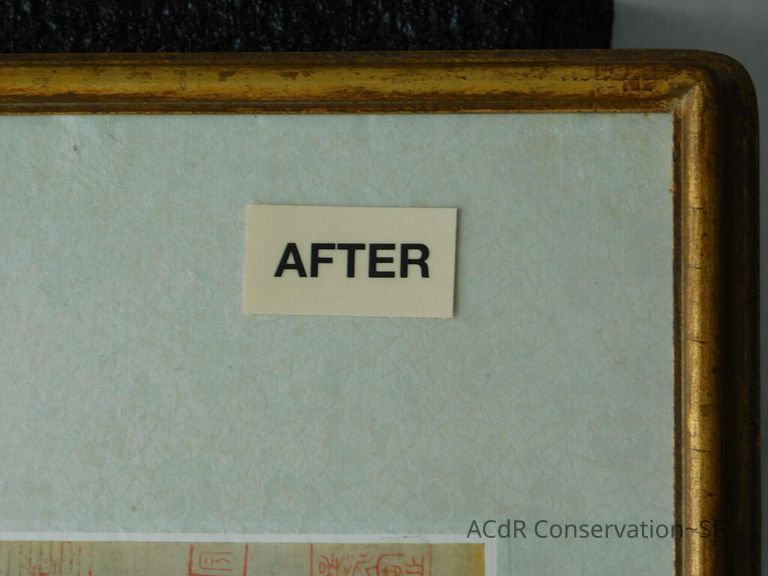 #11 - Butterflies - Image 42