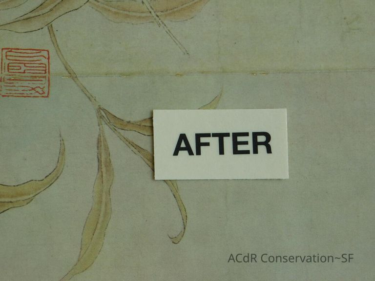 #11 - Butterflies - Image 43