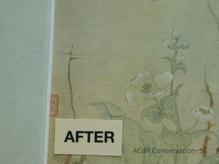 #11 - Butterflies - Image 44