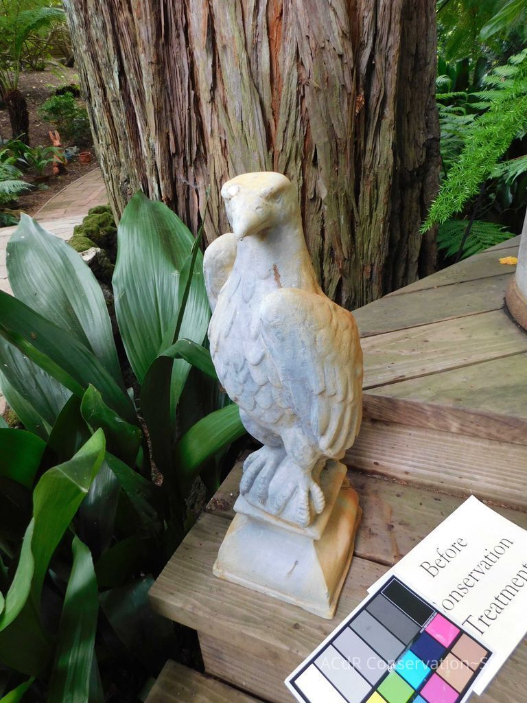          Lead Eagle (facing left) picture number 1
