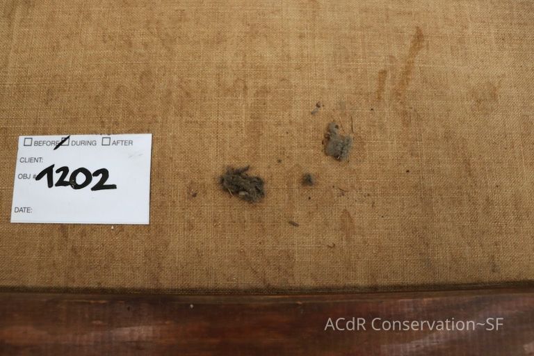 Woman with Red Bandana - Image 9