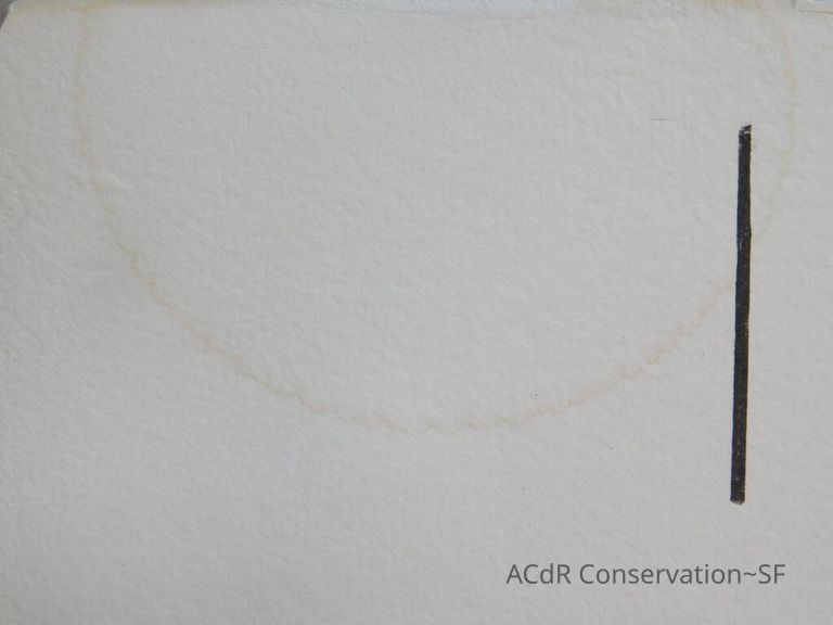 Barbara Hepworth Lithograph - Image 20