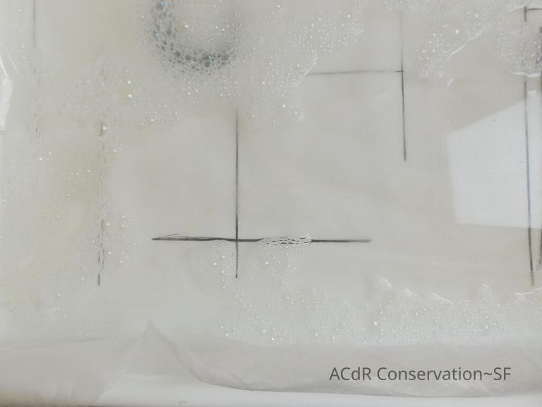 Barbara Hepworth Lithograph - Image 33