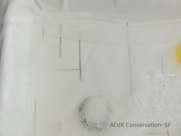 Barbara Hepworth Lithograph - Image 36