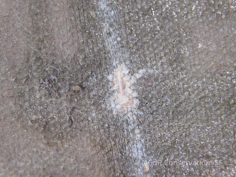 20th Century Landscape in Winter - Image 26