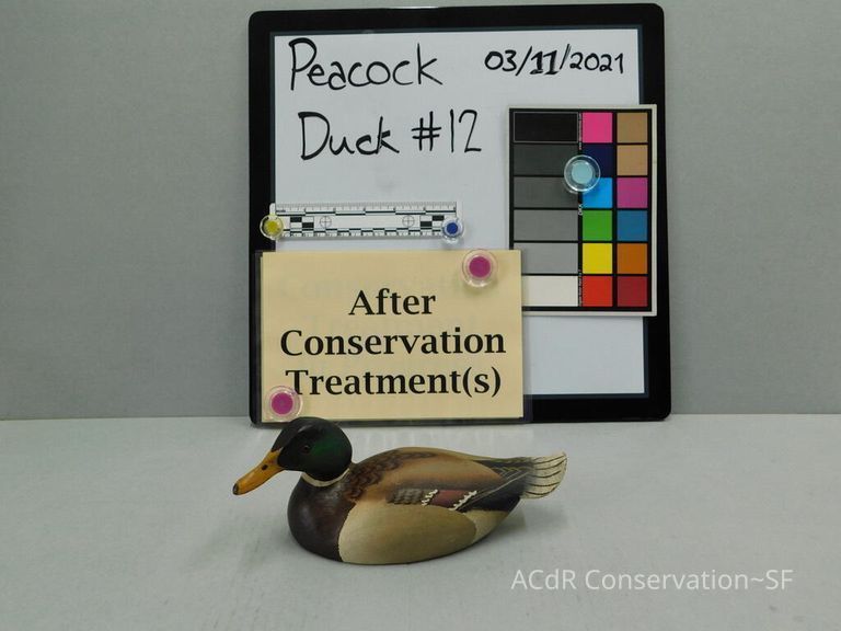          Wooden Duck picture number 1
