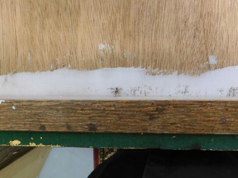 The Gilded Cage  - Image 16