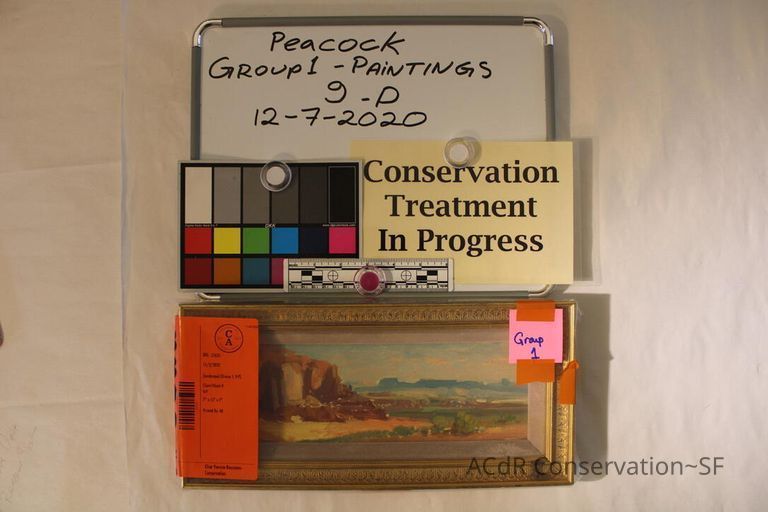          Panoramic desert scape picture number 1
