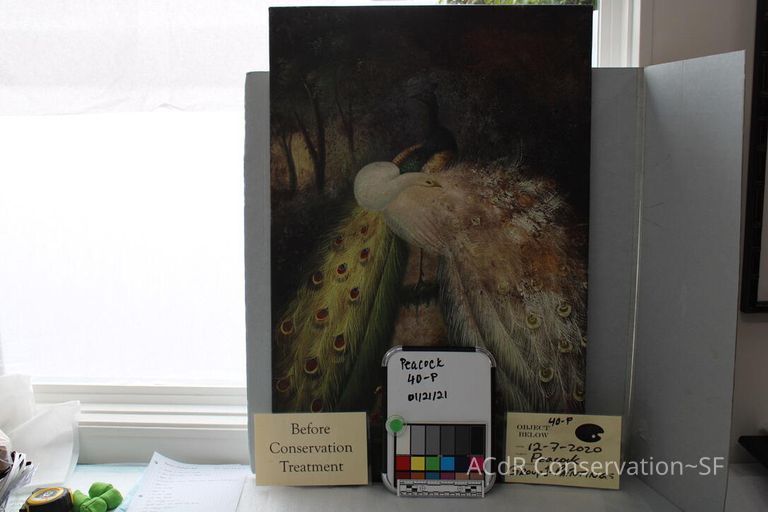          Two Peacocks Amongst Trees picture number 1
