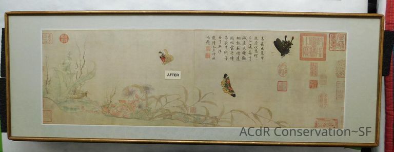 #11 - Butterflies - Image 45