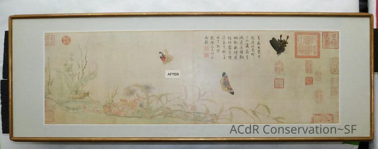 #11 - Butterflies - Image 46