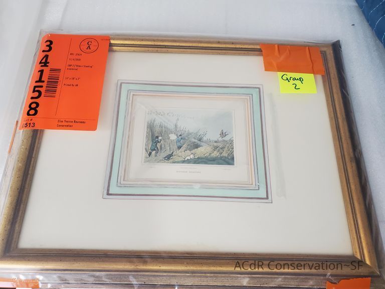          Bittern Shooting engraving picture number 1
