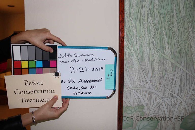 Collection Assessment - Image 4