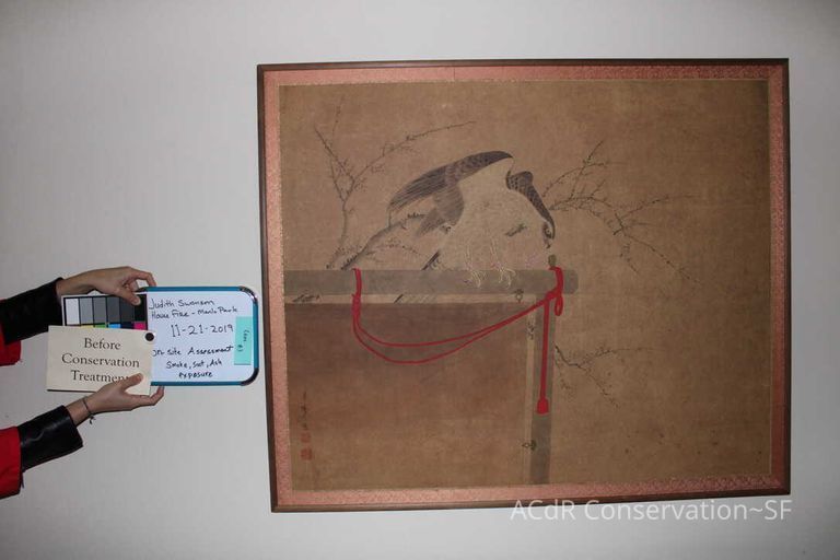 Collection Assessment - Image 7