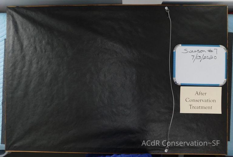 #7 - Grass and Thistles - Image 34