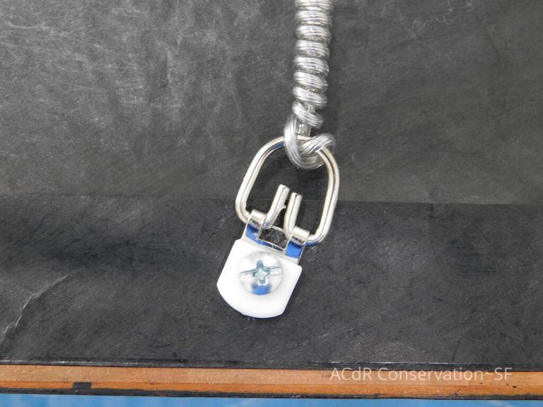 #7 - Grass and Thistles - Image 35